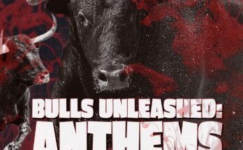 The Power and Symbolism of “Bulls” in Music and Our Bulls-Playlist