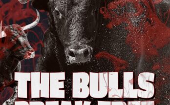 Unveiling Copamore’s Big Room Masterpiece: “The Bulls Break Free”