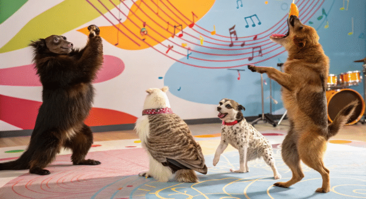 Exploring the Viral Phenomenon of Serenara’s “Animal Sounds” – A New Twist on Music Charts