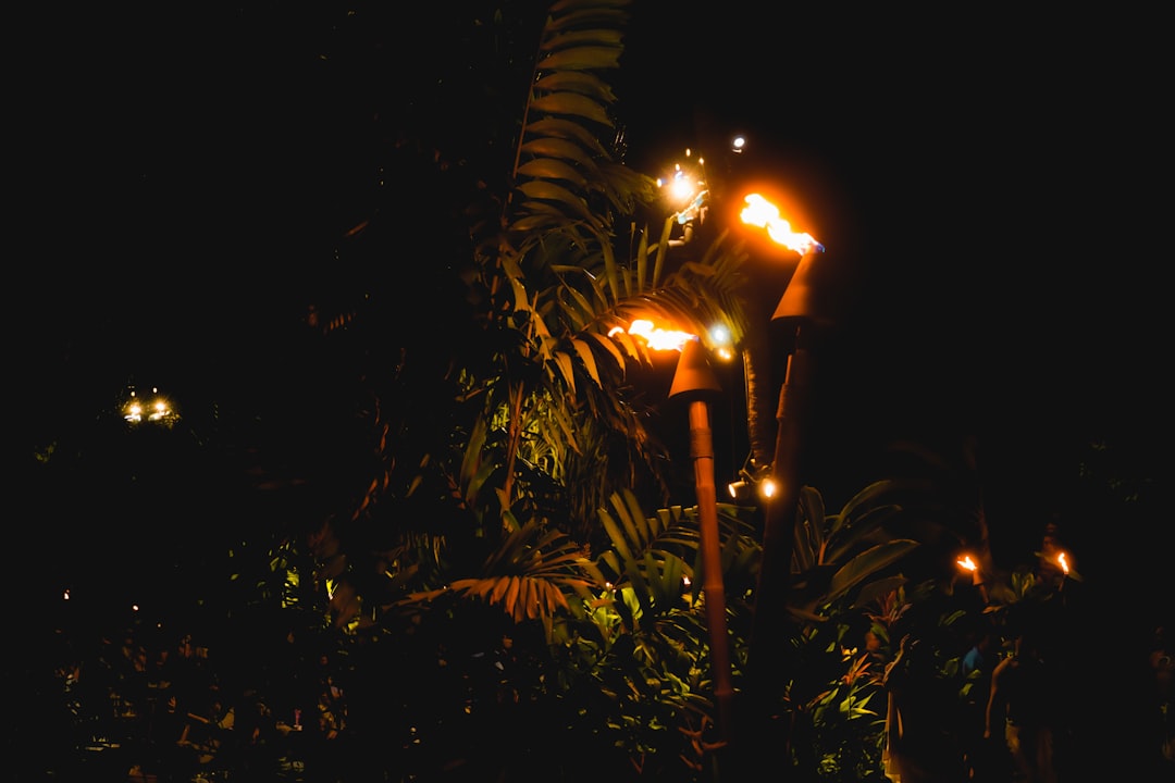 Blending Afro-House With Holiday Bells: My Recipe for a Tropical Christmas Playlist