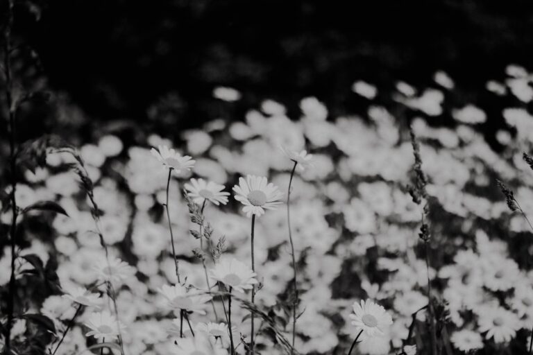 Spring Awakening Playlist: How Producers Create Fresh Seasonal Energy