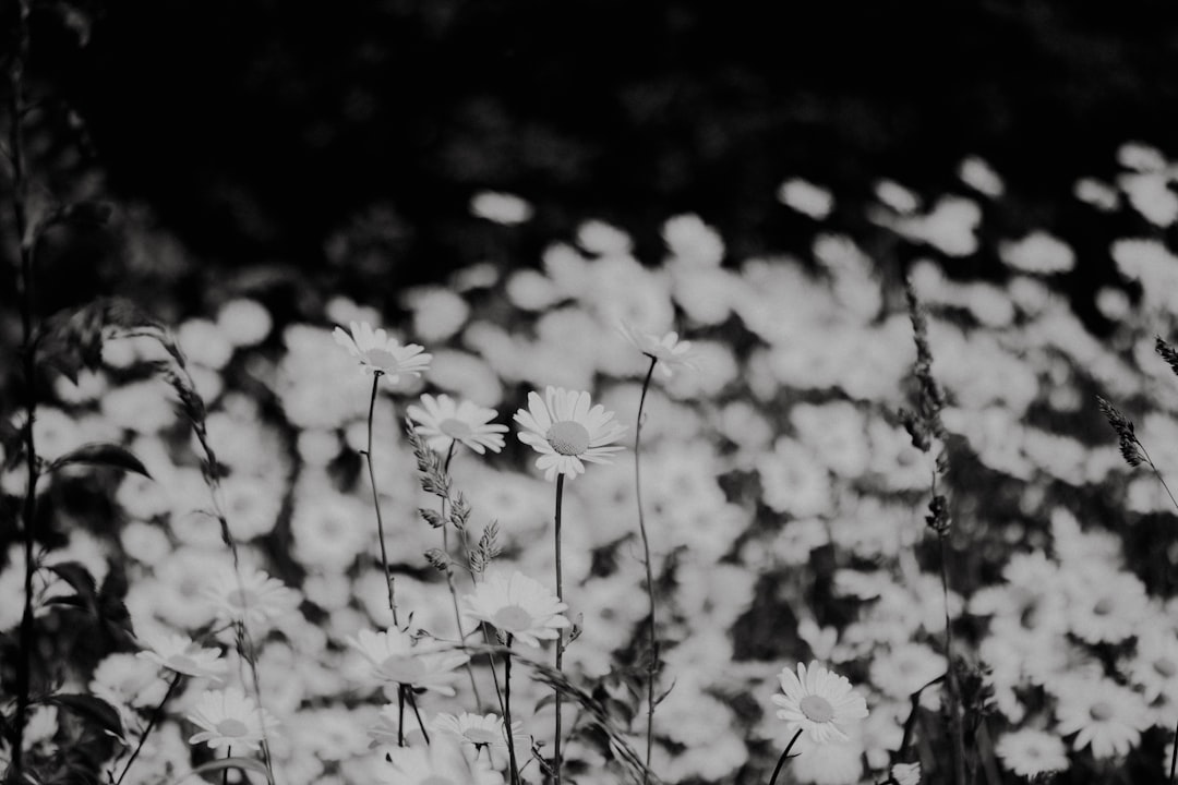 Spring Awakening Playlist: How Producers Create Fresh Seasonal Energy